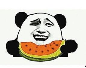 吃瓜群众媳妇,揭秘娱乐圈背后的真实故事