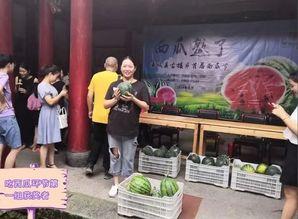 村内吃瓜群众,吃瓜群众聚焦乡村新鲜事