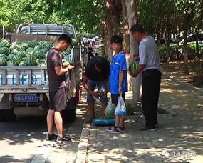 泗水吃瓜群众事件最新进展,最新进展揭示真相与后续影响