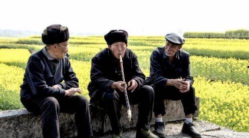 吃瓜群众师太农村宅基地,吃瓜群众眼中的乡村变迁