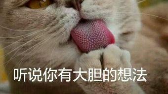 吃瓜群众舔屏吐舌头视频,吃瓜群众演绎网络狂欢瞬间