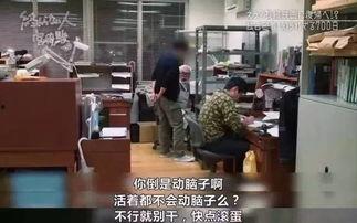 专业人士与吃瓜群众,深度解析社会现象