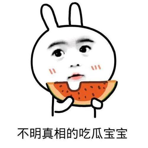 没毛病泣不成声吃瓜群众,吃瓜群众的情感共鸣与网络现象