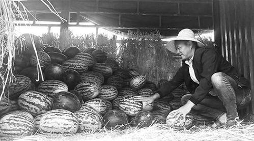 吃瓜群众岱岱废太子,揭秘宫廷权力斗争背后的故事