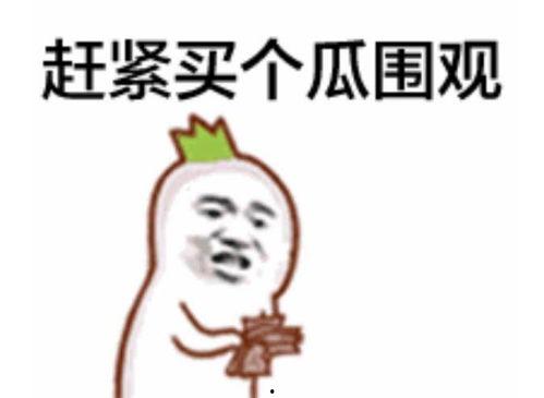 军哥粉丝吃瓜群众是谁,吃瓜群众揭秘军哥背后故事