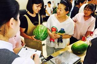 遇到恶劣吃瓜群众怎么办,应对恶劣吃瓜群众的策略与技巧