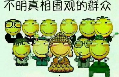 逗比吃瓜群众视频下载,视频下载背后的趣味与挑战