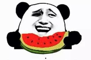 吃瓜群众重在参与,重在参与，乐享娱乐盛宴